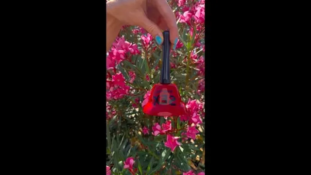 Even though I rang the bell no one showed up, I hope I'm lucky next time