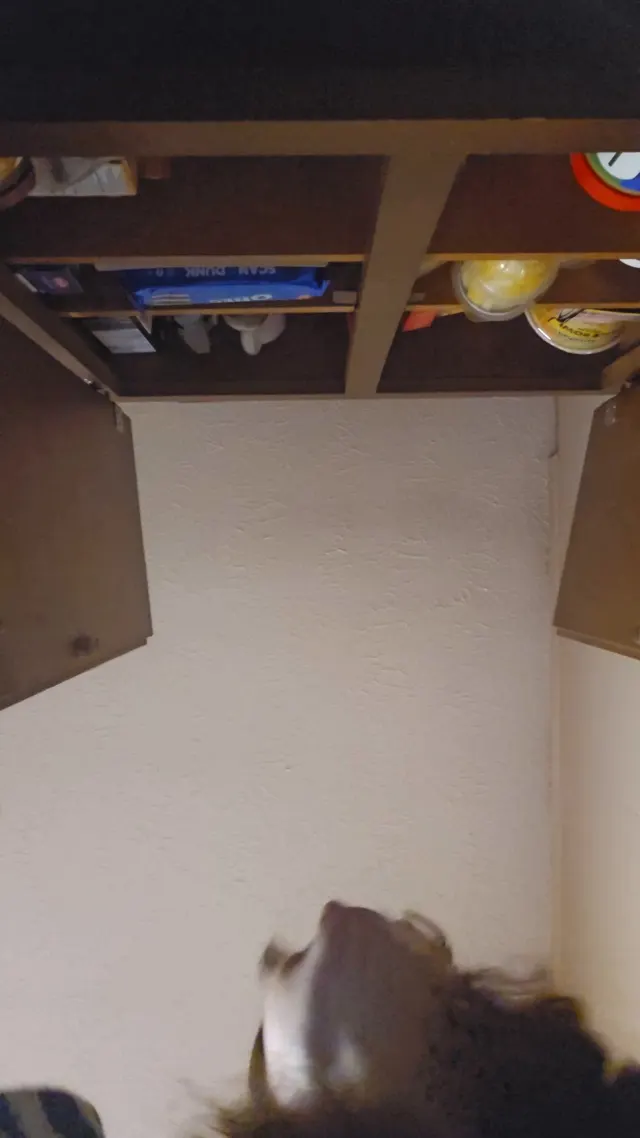 Thought this was an interesting angle🫶