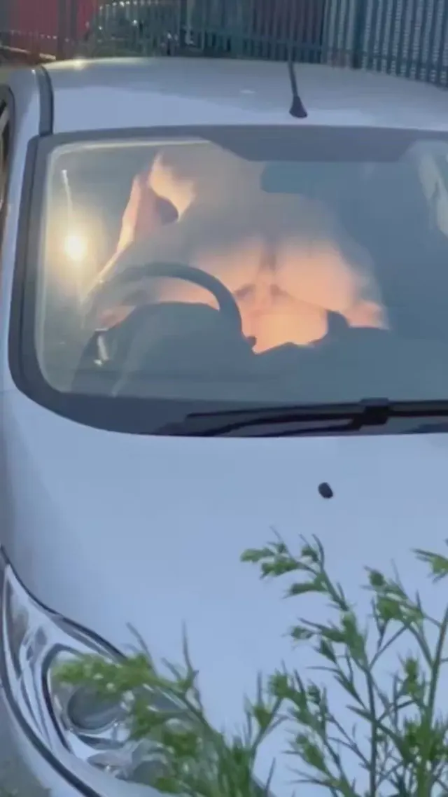 Car fuck