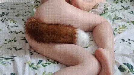 Your little fox is ready to breed