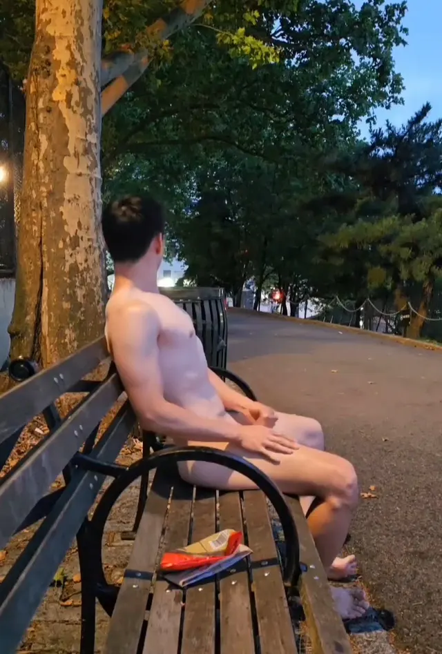 Cumming on a bench in a park next to a major avenue.