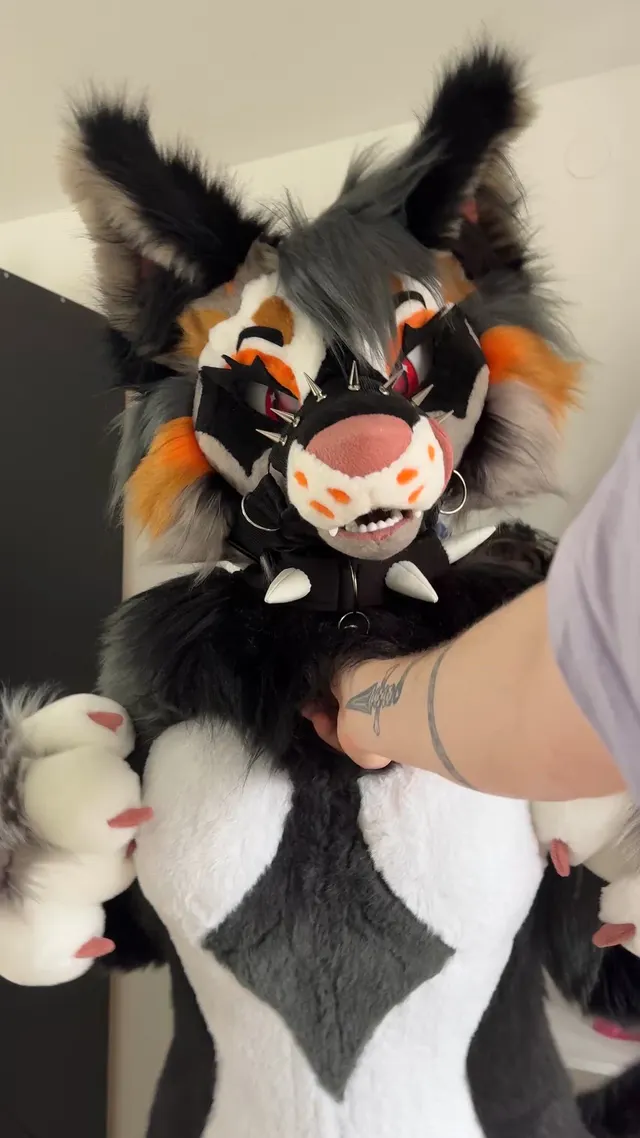 Want to feel how soft this fox is? ~