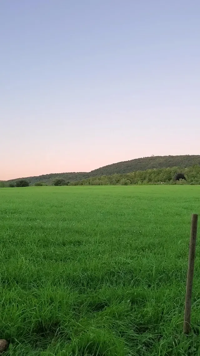 This fence won't build itself! Now, who wants to hold my post?