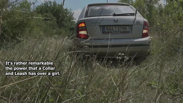 The Collar and Leash