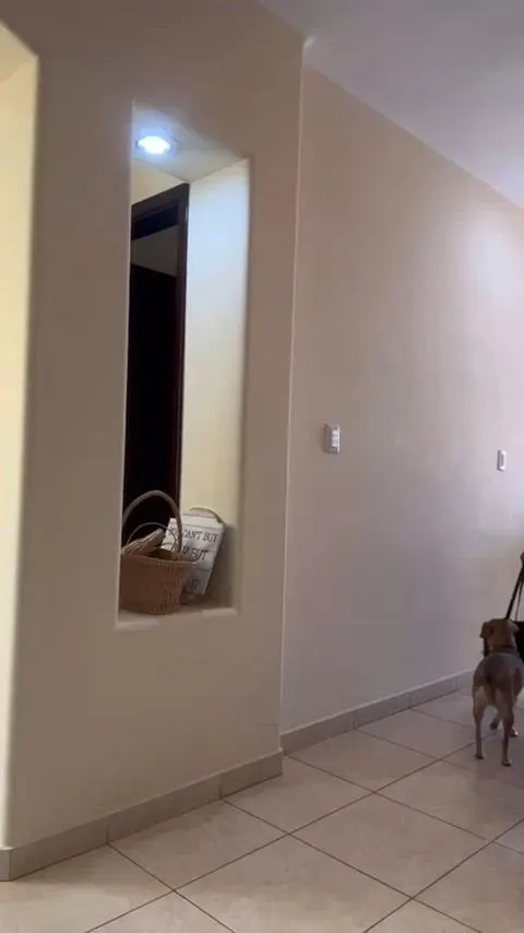 I stripped off and displayed my cougar curves, I am be older but I can certainly take cock better