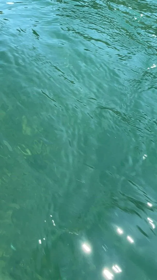 Lost at sea, what could possibly happen...