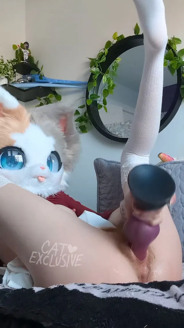 Kitty vs Rex! Who's winning? :3