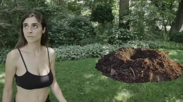 Michelle Trasatti - Beaster Day: Here Comes Peter Cottonhell (2014)