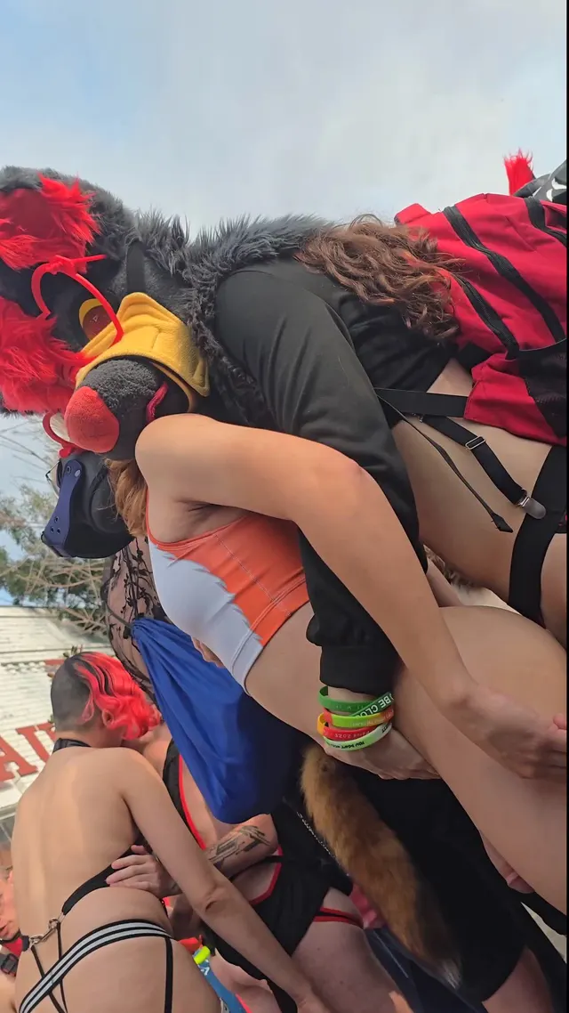 Just a little public humping