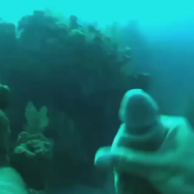 I guarantee you have never seen anything like that before