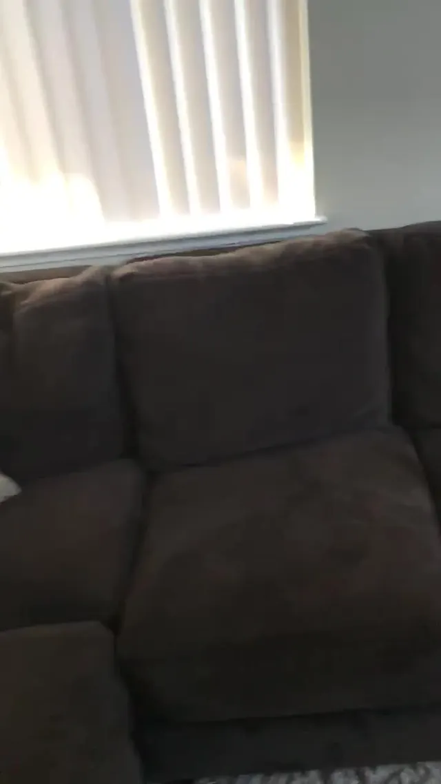 This makes for an immersive experience