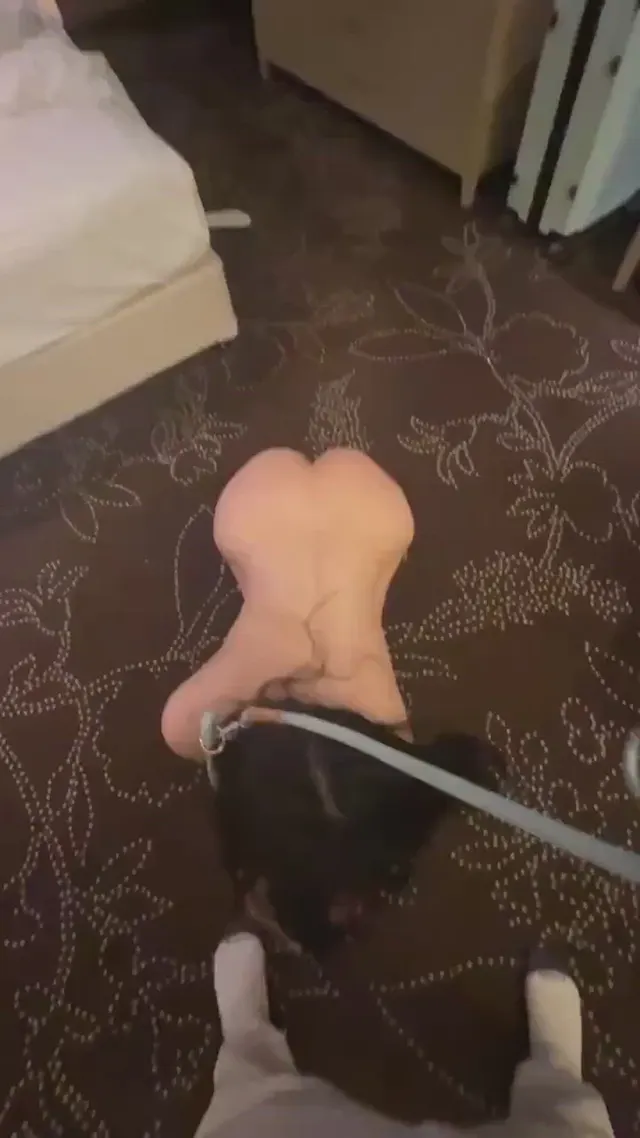 Look how happy she is being a pet 🥰