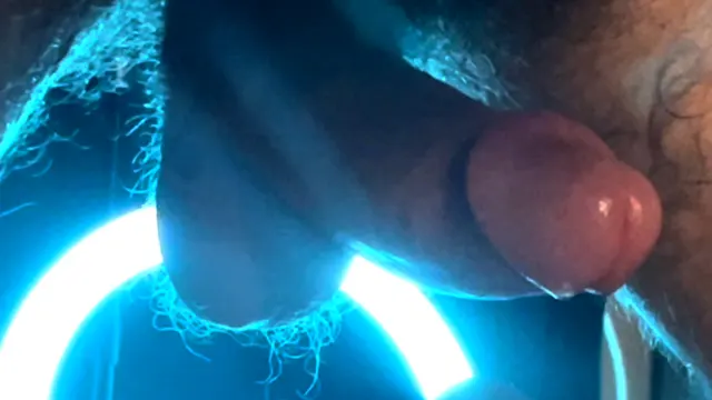 Dripping Wet Dog🐺💦