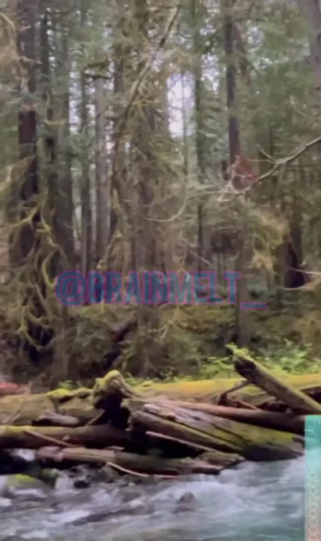 You ever been tittyfucked in nature? 🥵 - BrainMeLt_ - oc