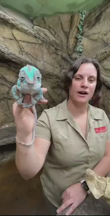 I hope my clever reveal made you smile 😊❤ OC