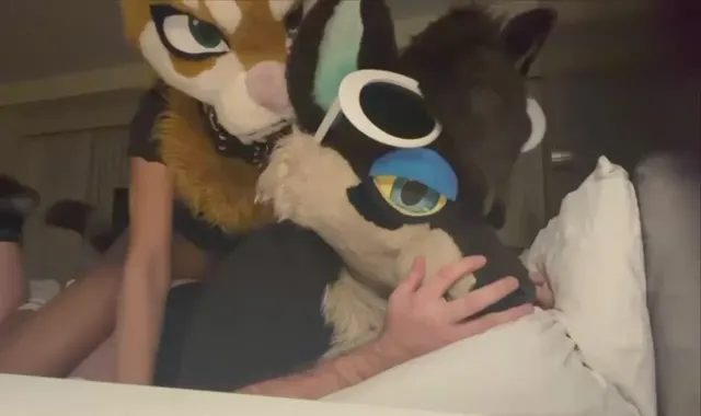 What your friends are doing while you’re busy at the con