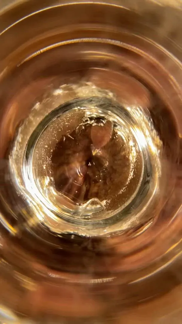 [F] Look inside my ass with this glass plug