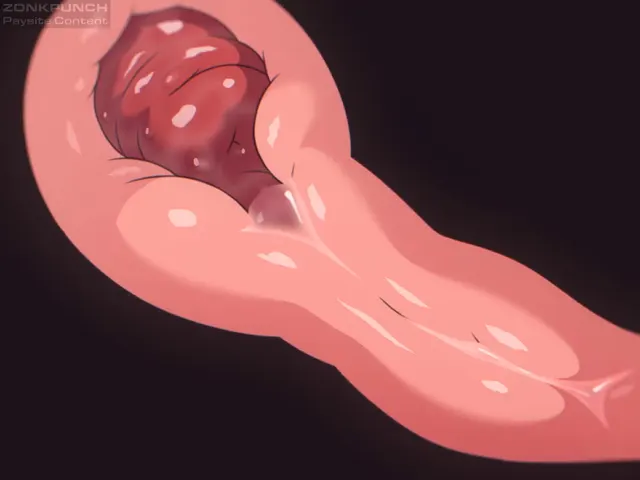 The inside of a wet warm pussy being bred by a thick doggy cock (Zonkpunch)