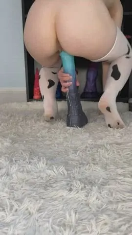 I’m able to fit more and more of L Vector every time!